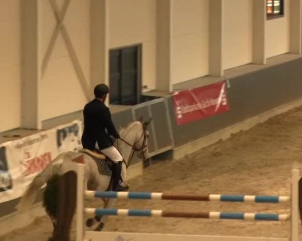 Springturnier auf dem Abtshof 2013