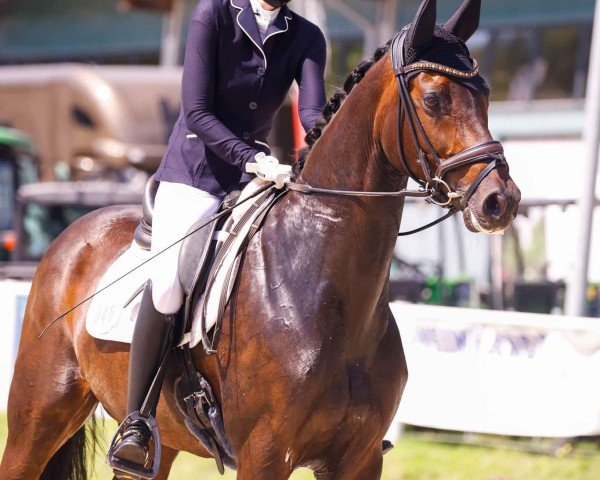 broodmare Borgia 9 (Rhinelander, 2011, from Boston)