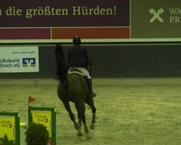Springturnier auf dem Abtshof 2013