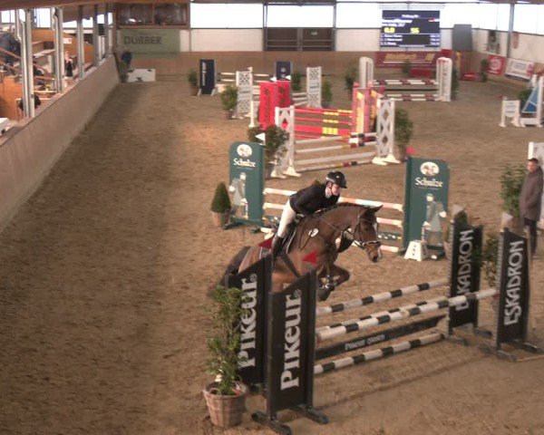 Reitturnier Westbarthausen 2025