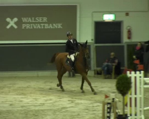 Springturnier auf dem Abtshof 2013