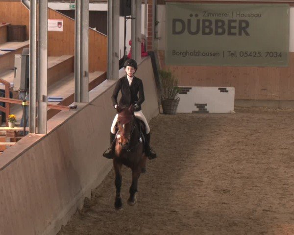 Reitturnier Westbarthausen 2025
