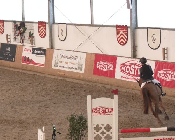 Reitturnier Westbarthausen 2025