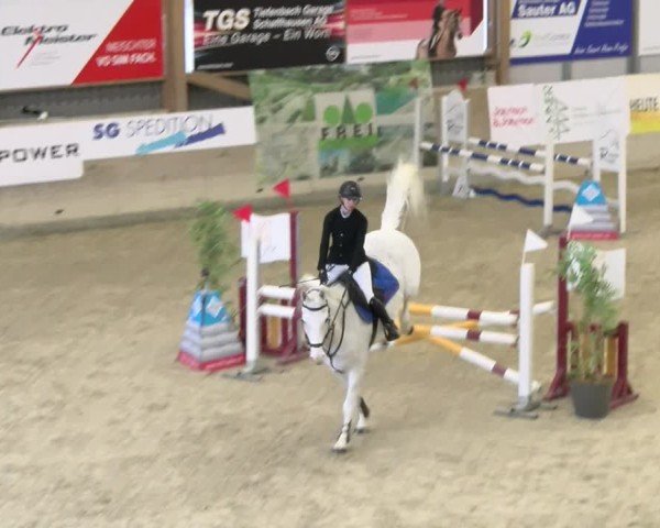 Reitturnier Schaffhausen 2025