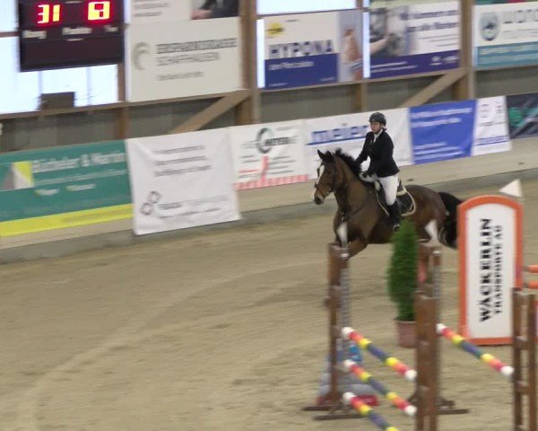 Reitturnier Schaffhausen 2025