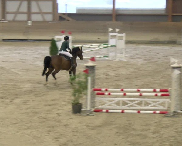 Reitturnier Schaffhausen 2025