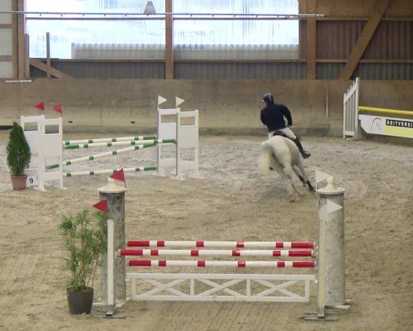 Reitturnier Schaffhausen 2025