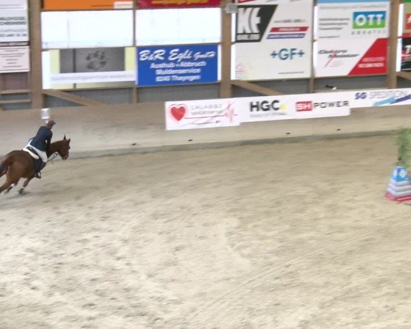 Reitturnier Schaffhausen 2025