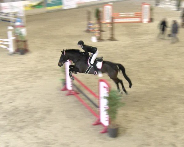 Reitturnier Schaffhausen 2025