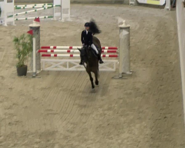 Reitturnier Schaffhausen 2025
