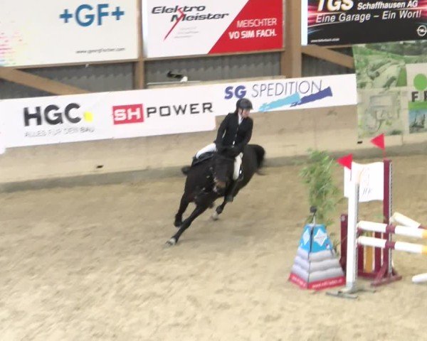 Reitturnier Schaffhausen 2025