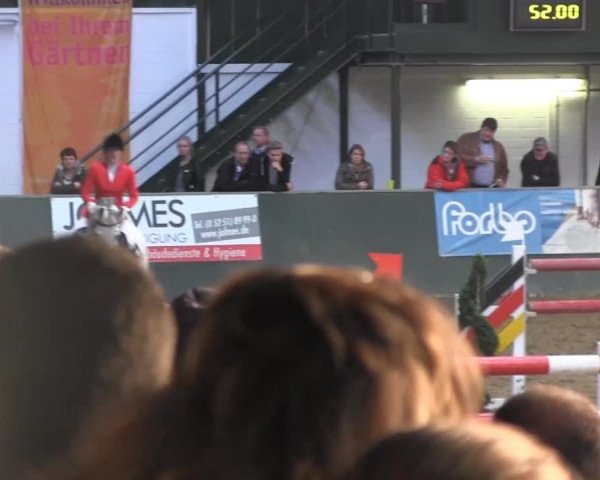 Reitturnier Salzkotten 2013