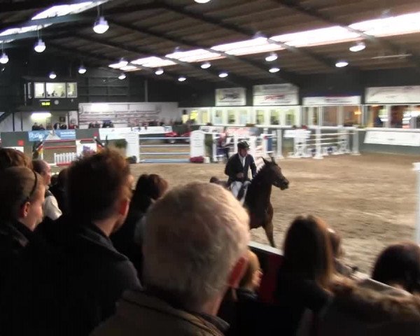 Salzkotten 2013