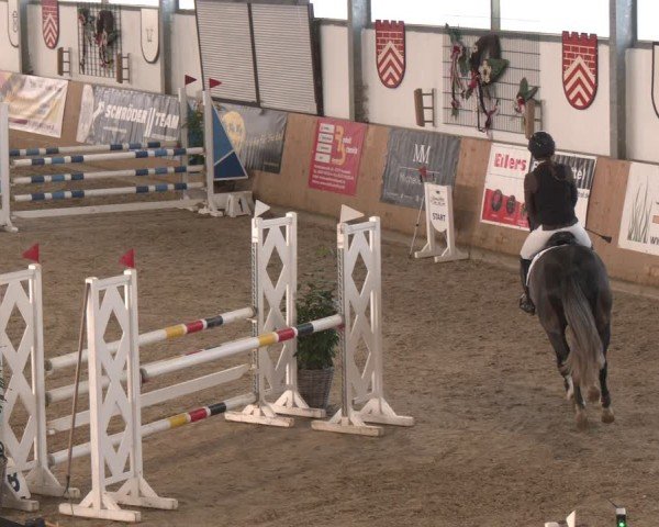 Reitturnier Westbarthausen 2025