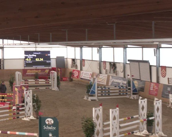 Reitturnier Westbarthausen 2025
