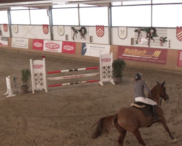 Reitturnier Westbarthausen 2025