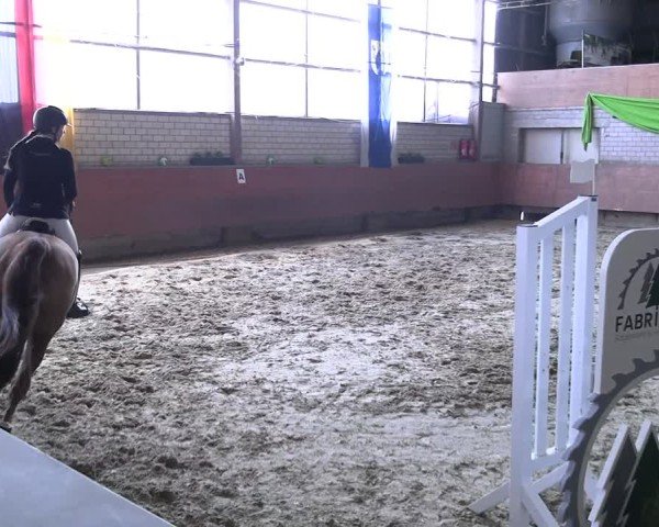 Reitturnier Hellefeld 2025