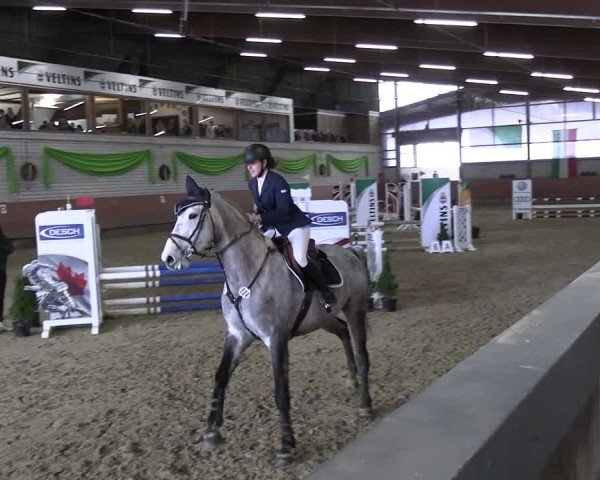 Reitturnier Hellefeld 2013