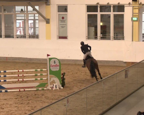 Reitturnier Stadl-Paura 2025