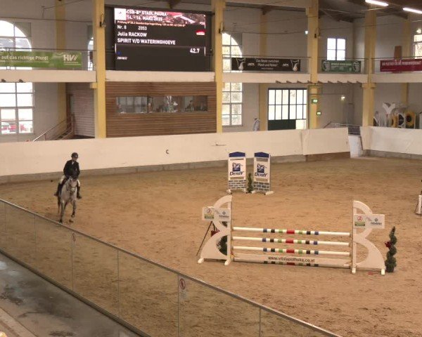 Reitturnier Stadl-Paura 2025