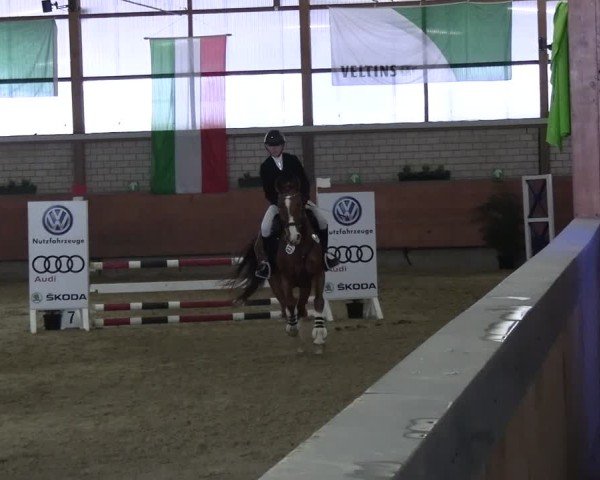 Reitturnier Hellefeld 2025
