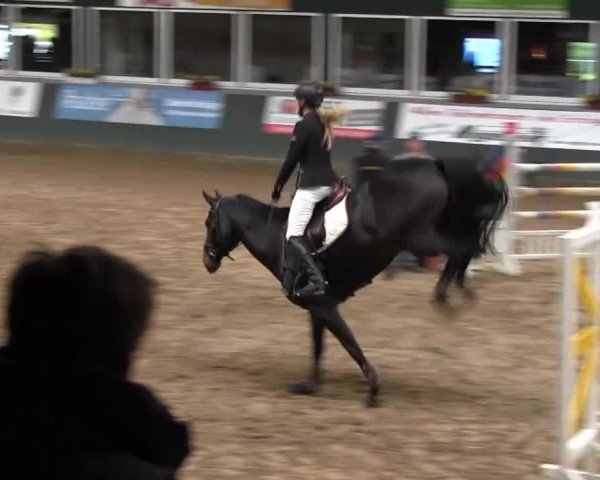 Salzkotten 2013