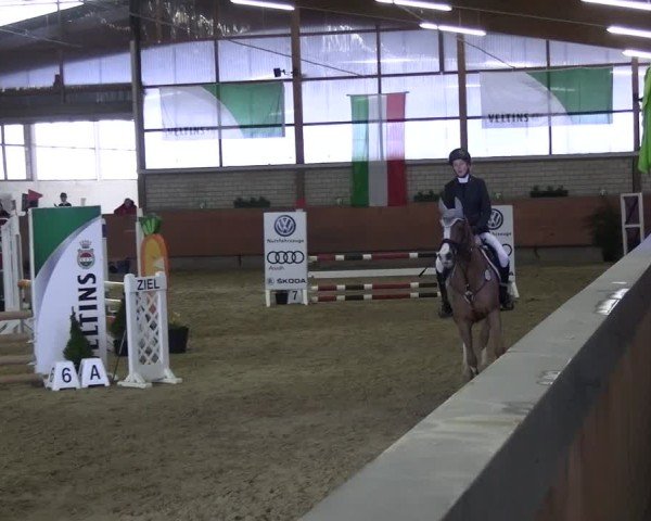 Reitturnier Hellefeld 2025