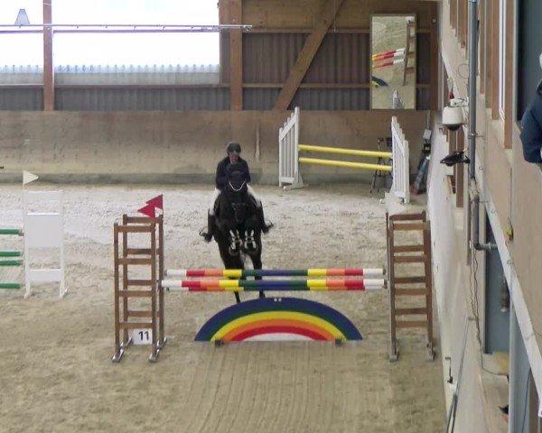 Reitturnier Schaffhausen 2025