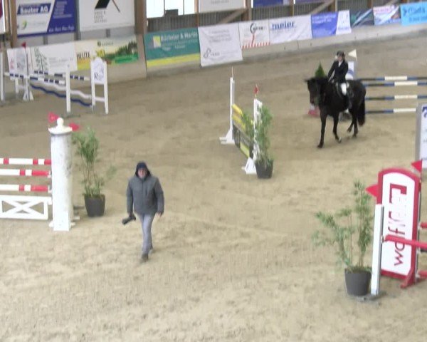 Reitturnier Schaffhausen 2025
