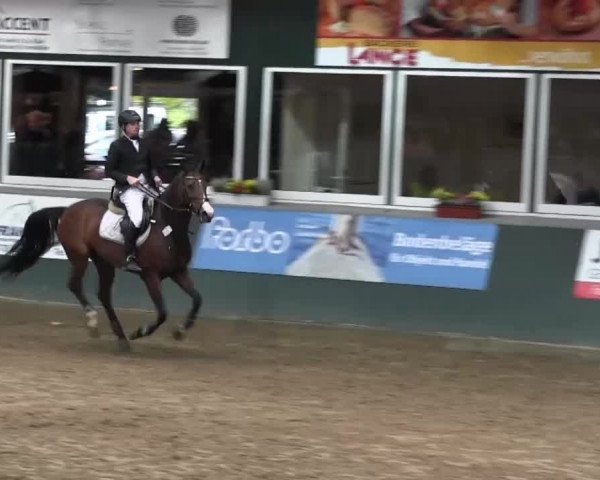 Salzkotten 2013