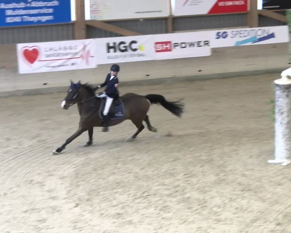 Reitturnier Schaffhausen 2025