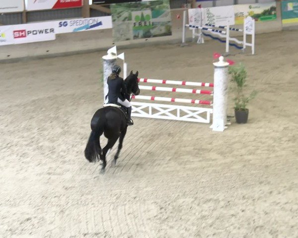 Reitturnier Schaffhausen 2025