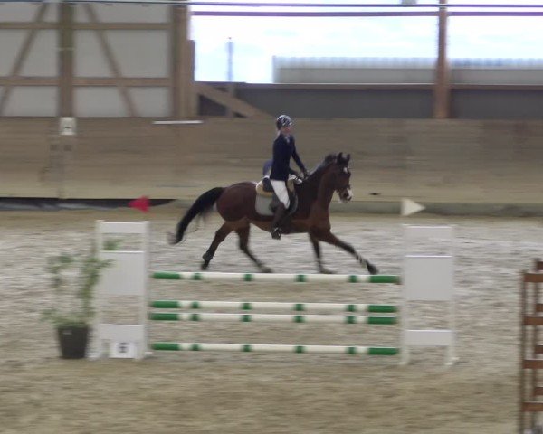 Reitturnier Schaffhausen 2025