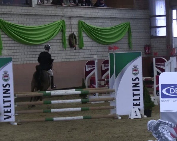 Reitturnier Hellefeld 2025