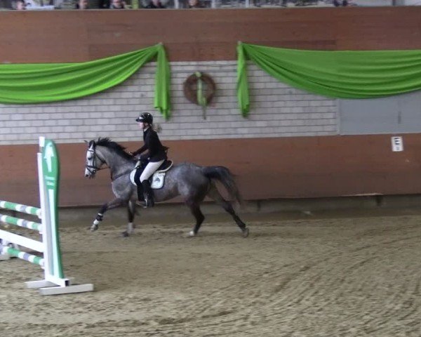Reitturnier Hellefeld 2025
