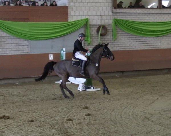 Reitturnier Hellefeld 2025