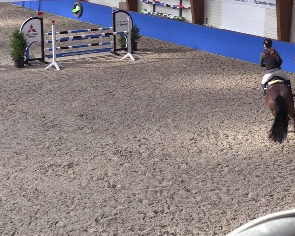 Reitturnier Sögel 2025