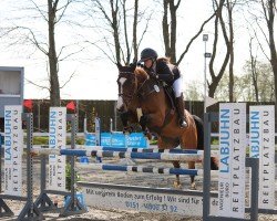 jumper Frida Gold R (Holsteiner, 2009, from Aljano)