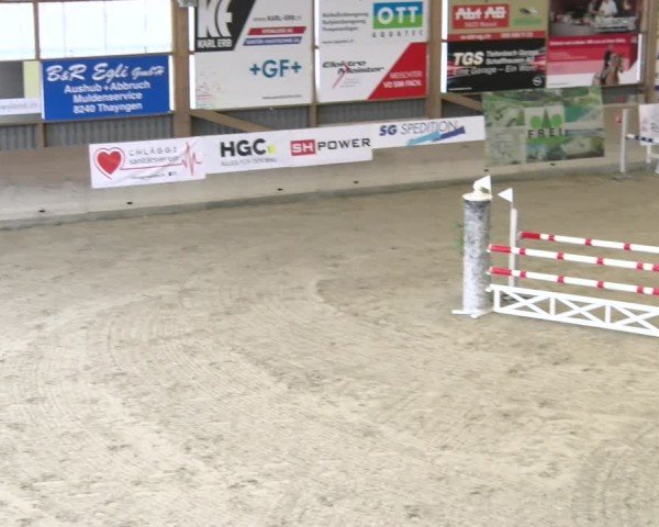 Reitturnier Schaffhausen 2025