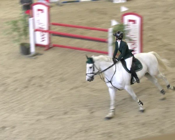 Reitturnier Schaffhausen 2025
