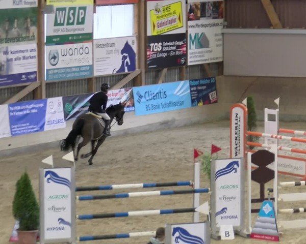 Reitturnier Schaffhausen 2025