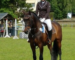 stallion Contador 4 (Mecklenburg, 2003, from Continue)