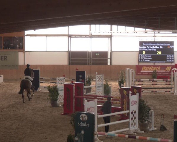 Reitturnier Westbarthausen 2025