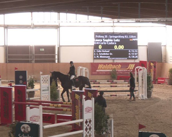 Reitturnier Westbarthausen 2025