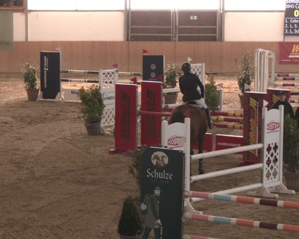 Reitturnier Westbarthausen 2025
