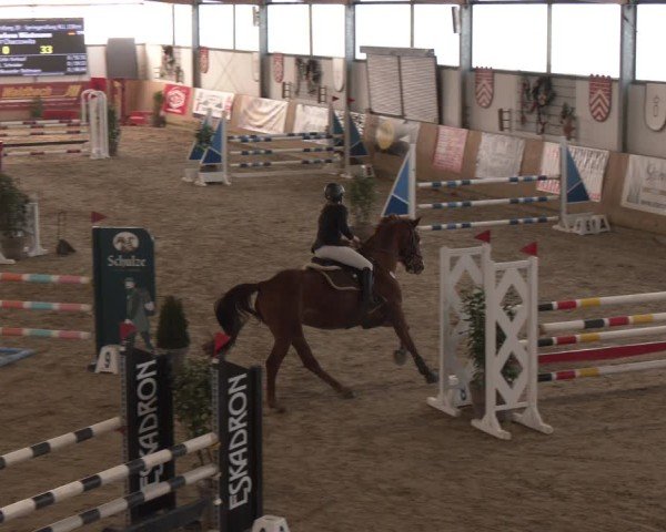 Reitturnier Westbarthausen 2025