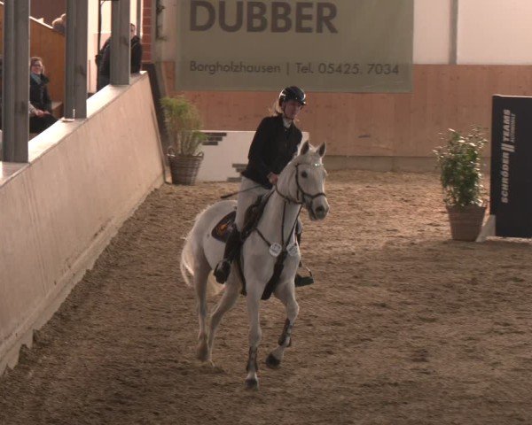 Reitturnier Westbarthausen 2025