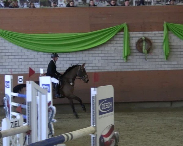 Reitturnier Hellefeld 2025