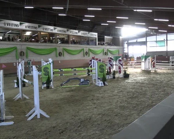 Reitturnier Hellefeld 2025