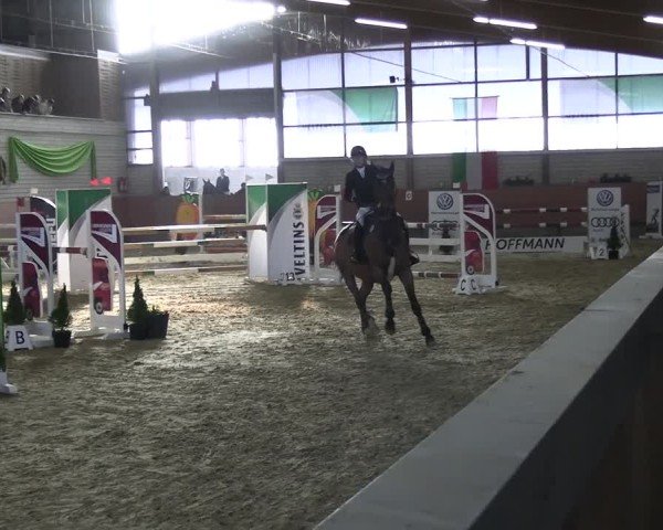 Reitturnier Hellefeld 2025